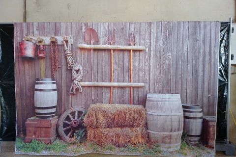Souvenir d'Hanzinne