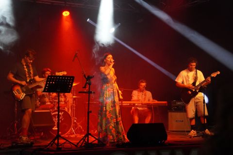 Souvenir d'Hanzinne