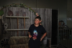 dtb2259848_org_764B7D7-FB_BD270621_224_3