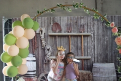 dtb2259848_org_764B7D7-FB_BD270622_251_1