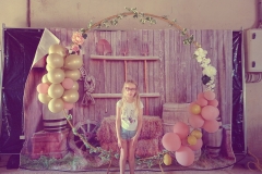 dtb2772441_B315F30-FB_BD354782_445_1