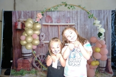 dtb2772441_org_B315F30-FB_BD354782_296_1