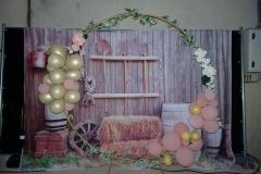 dtb2772441_org_B315F30-FB_BD354782_427_1