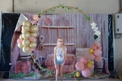 dtb2772441_org_B315F30-FB_BD354782_445_1