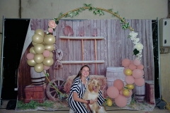 dtb2772441_org_B315F30-FB_BD354782_666_1