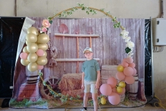 dtb2772441_org_B315F30-FB_BD354784_477_1