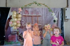 dtb2772441_org_B315F30-FB_BD354784_610_3